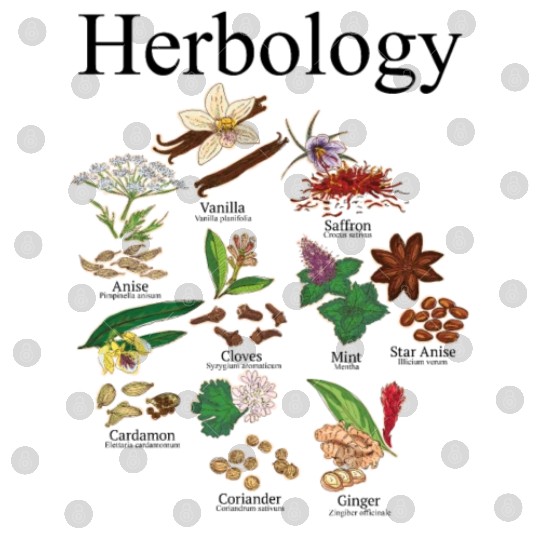 Herbology Plant Lady Herb Flower Garden Herbology Digital Files