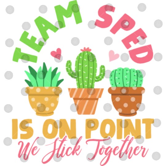 Sped Special Education Teacher Student Digital Files