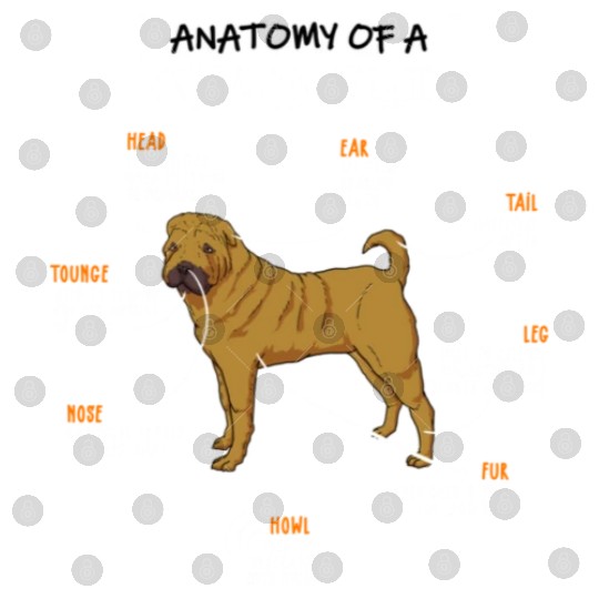 Anatomy Of A Shar Pei Dog Funny Dog Lover Gift Digital Files