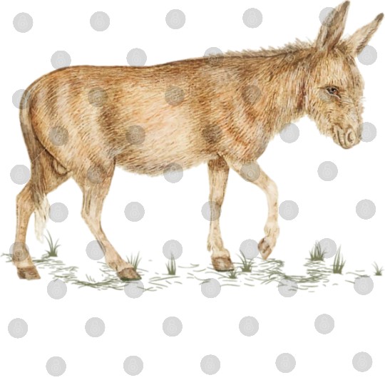 Farm Donkey Animal Lover Zookeeper Mule Farmer Digital Files
