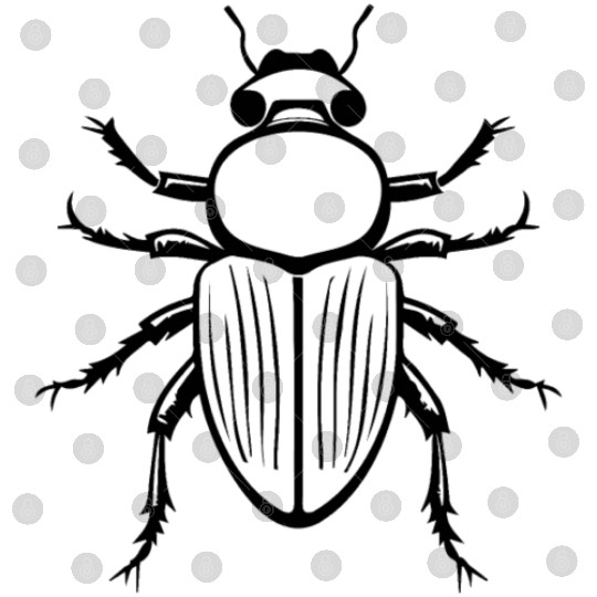 Bug Beetle Insect Digital Files