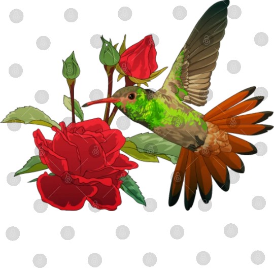 Hummingbird With Flower Digital Files