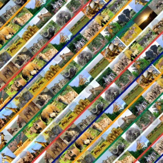 Wildlife Stripe Multi Color Collage Digital Files