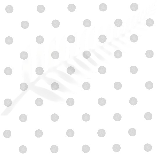 New Zealand Silver Fern Kiwi Pride Digital Files