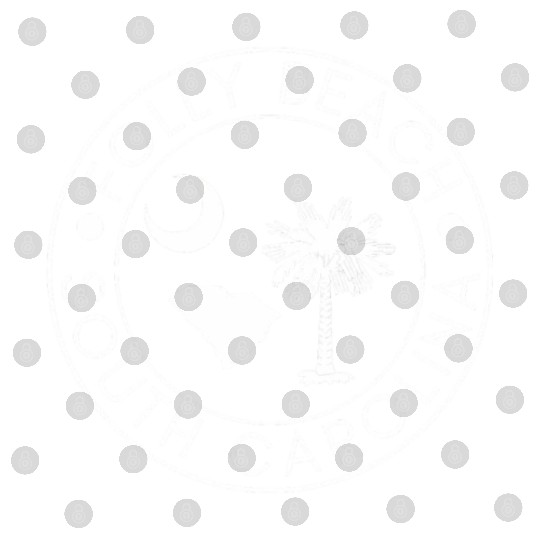 Folly Beach South Carolina Palmetto Map Flag Sc Digital Files