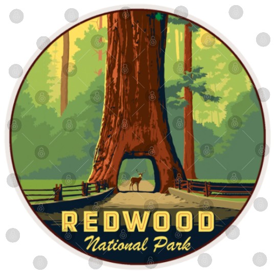 Redwood National Park Digital Files