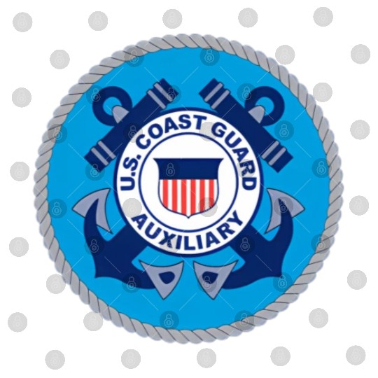 Us Coast Guard Auxiliary Uscga Volunteer Service Digital Files