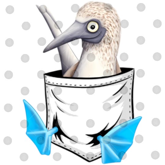 Bird Drawing Fancy Blue Foot Booby In Pocket Digital Files