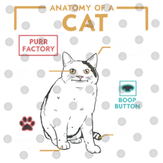 Funny Weird Cat Meme Smiling Anatomy of A Cat Digital Files