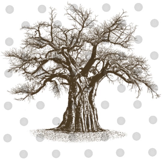 Baobab Tree of Life Digital Files