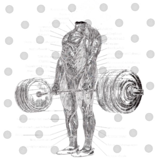 Anime Muscle Anatomy Ch Gym And Workout Motivation Digital Files