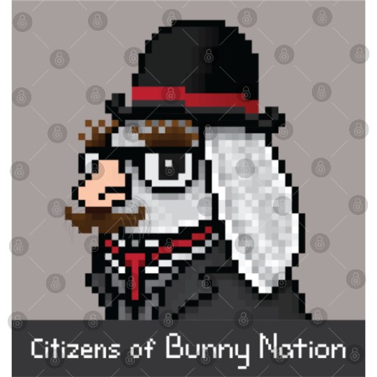 Citizens of Bunny Nation NFT #93 Artwork Digital Files