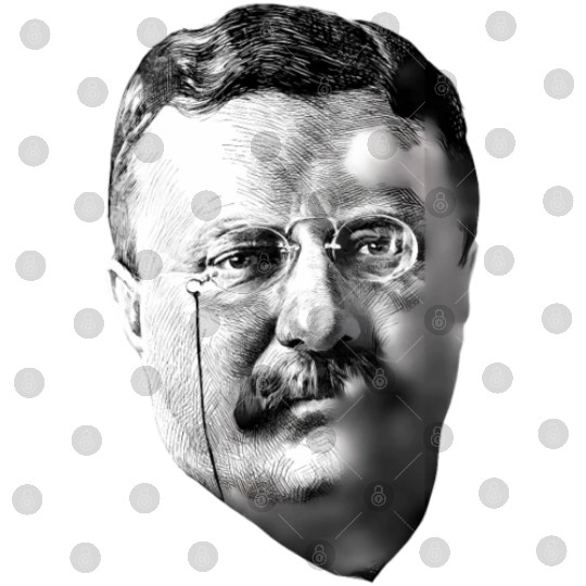 President Teddy Roosevelt Digital Files