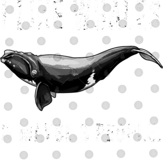 I Like North Atlantic Right Whale And Maybe 3 Digital Files