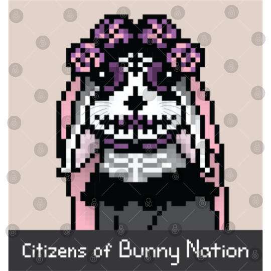Citizens of Bunny Nation NFT #61 Artwork Digital Files