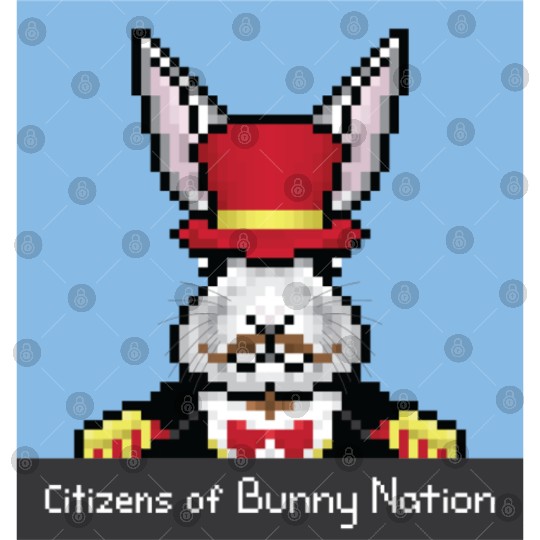 Citizens of Bunny Nation NFT #34 Artwork Digital Files