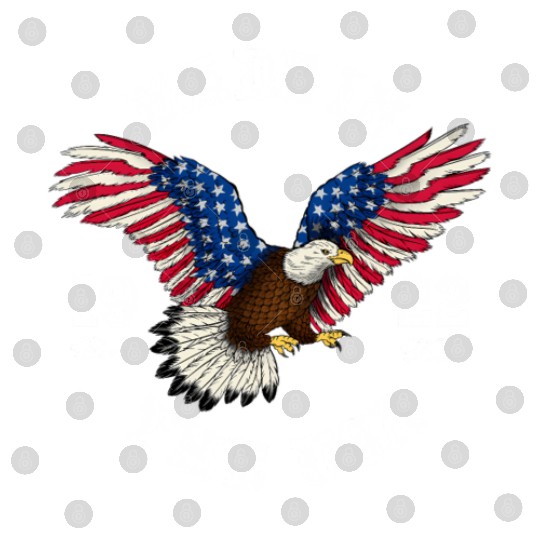 100 Year Old Patriotic Eagle Usa Flag 1922 Digital Files