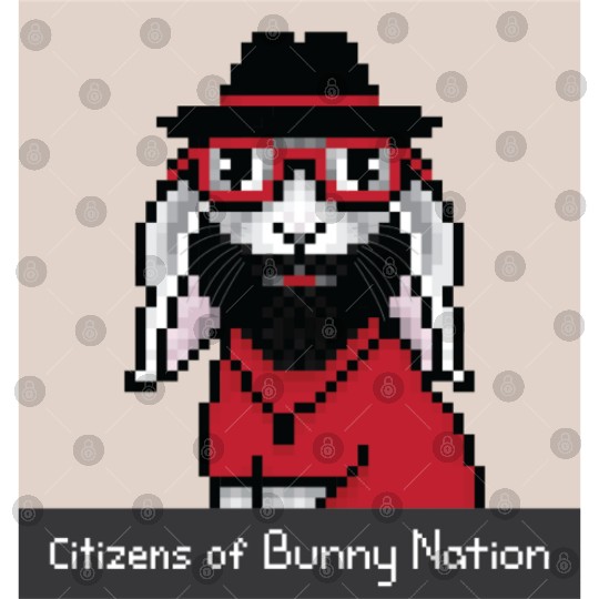 Citizens of Bunny Nation NFT #20 Artwork Digital Files