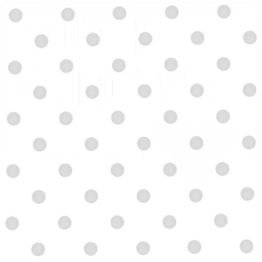 South Carolina Charleston Columbia Mo Pleasant Digital Files