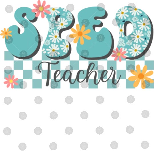Sped Teacher Digital Files