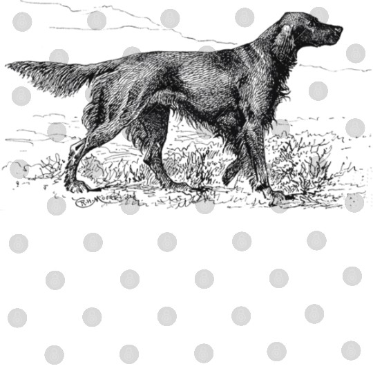 Irish Setter Dog Dog Owner Digital Files