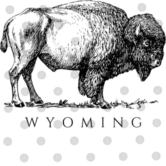 Wyoming With A Buffalo Digital Files
