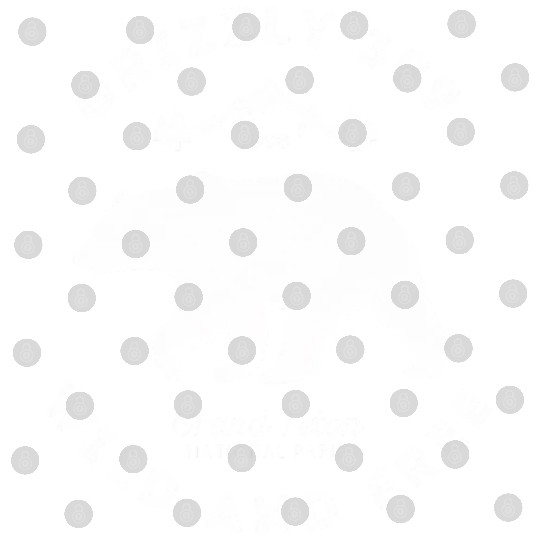 Grizzly 399 Wild Free Grand Teton National Park Digital Files