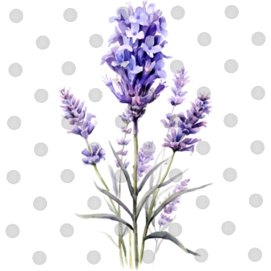 Lavender Flower Digital Files