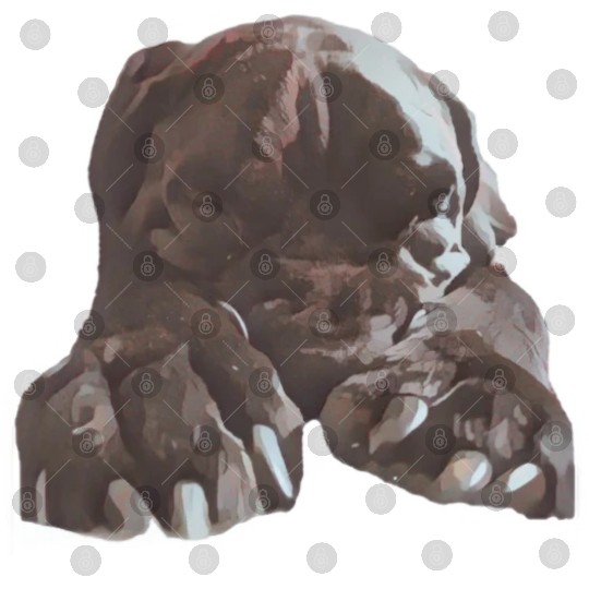 Cane corso in its natural sleeping environment Digital Files