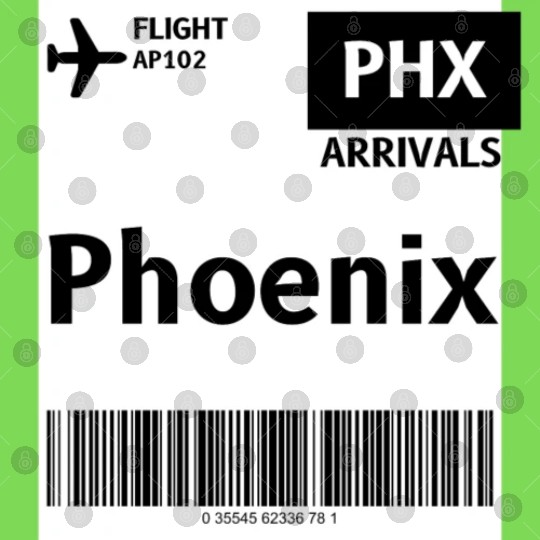 airplane ticket phoenix Digital Files