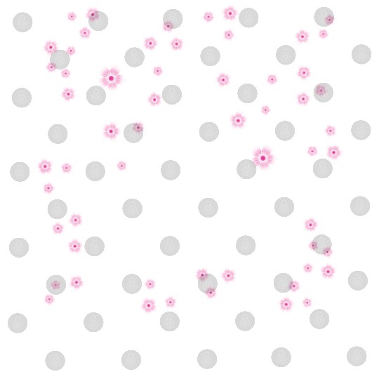 Washington DC Digital Files, Capital City White House