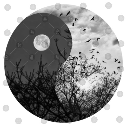 Yin and Yang of Moon and Sun in Black and White Digital Files