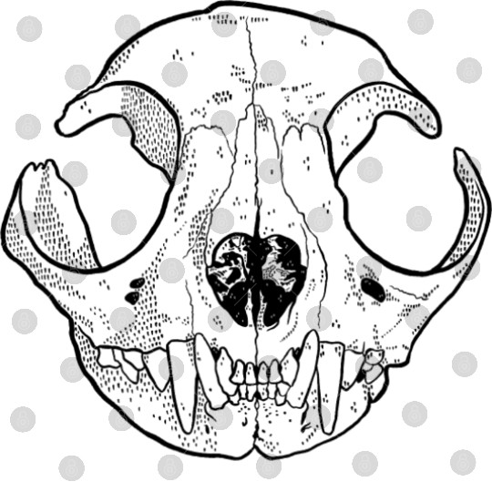 Cat Skull Digital Files