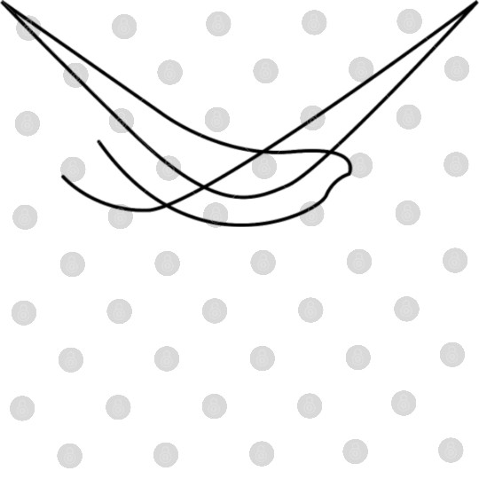 Seagull Bird Digital Files