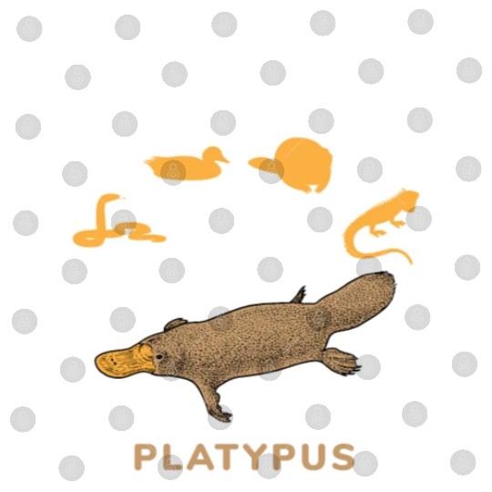 Schnabeltier Power Combined Platypus Digital Files