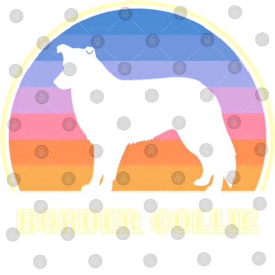 Border Collie Sunset Dog Digital Files
