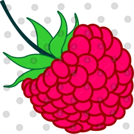 Raspberry red with green leaves Digital Files