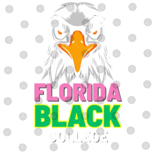 Rare Florida Black College ( 90s Sports Edition) Digital Files