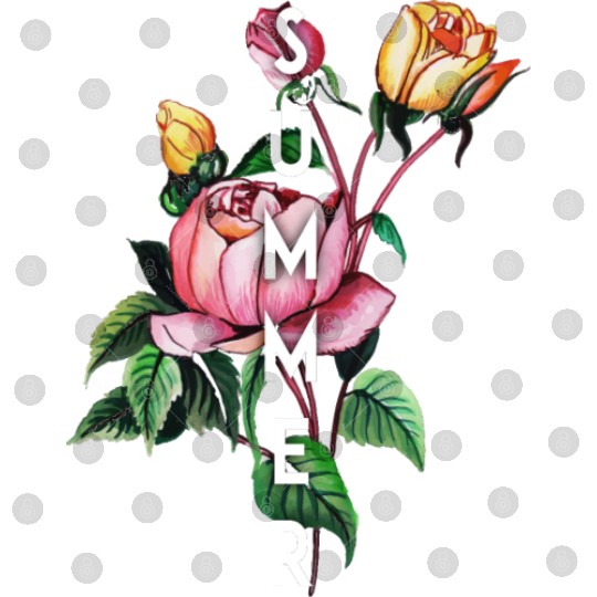 Summer Digital Files