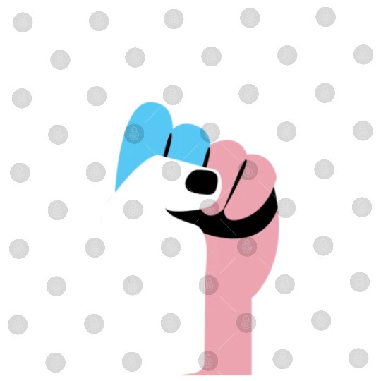 Trans Punk Transgender Pride Digital Files