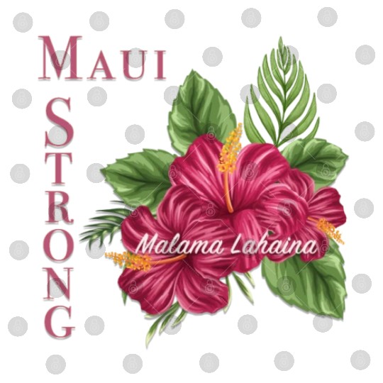 Malama Lahaina: Maui Strong 2 Digital Files
