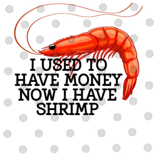 I Used To Have Money Now I Have Shrimp Digital Files