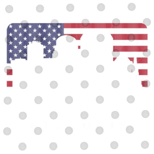 St. Louis Missouri American Flag Digital Files