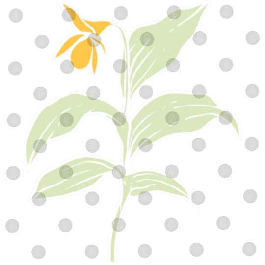 Yellow Orchid Plants Lover Gift Digital Files