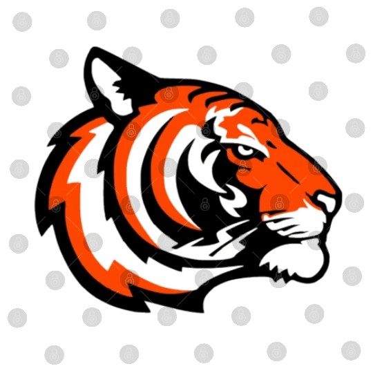 Colorful Tiger Head Digital Files