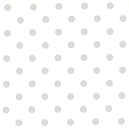 The Purrfect Day: Cat in My Lap Book Catnap The Pu Digital Files