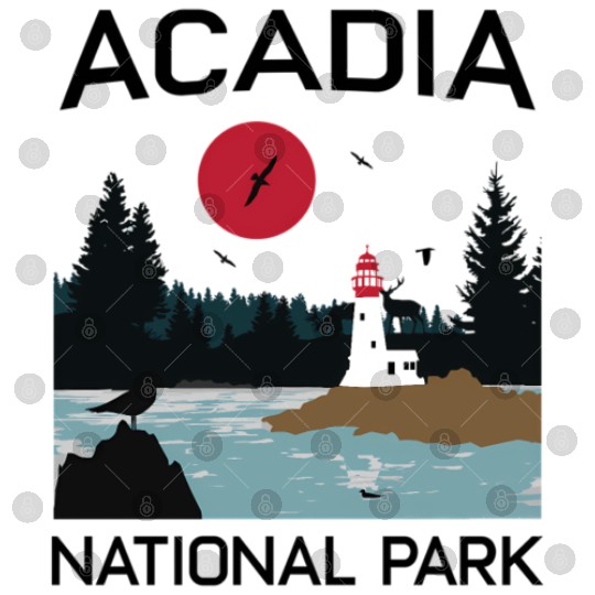 Acadia National Park 80s Maine Mount Island Digital Files