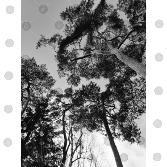 20230108 142337 Digital Files