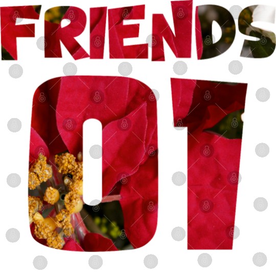best friends for 3 - FRIENDS Digital Files