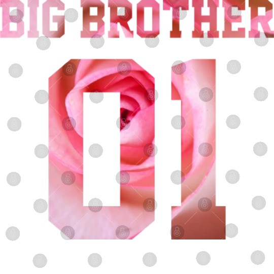 BIG BROTHER 01 Digital Files